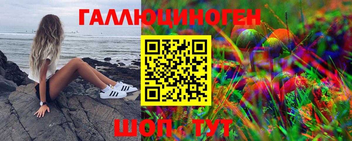 Псилоцибиновые грибы прущие грибы Краснодар